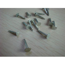 High Quanlity Zinc Coated Cupper Nails